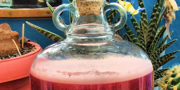Wine Fermenting in Carboy