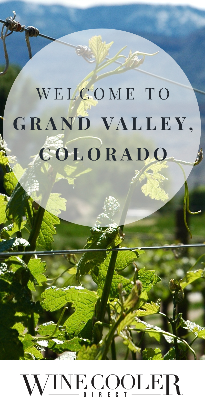Grand Valley Colorado
