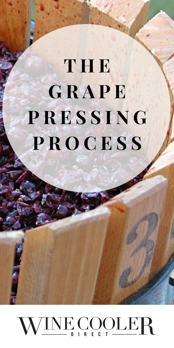 Grape Pressing