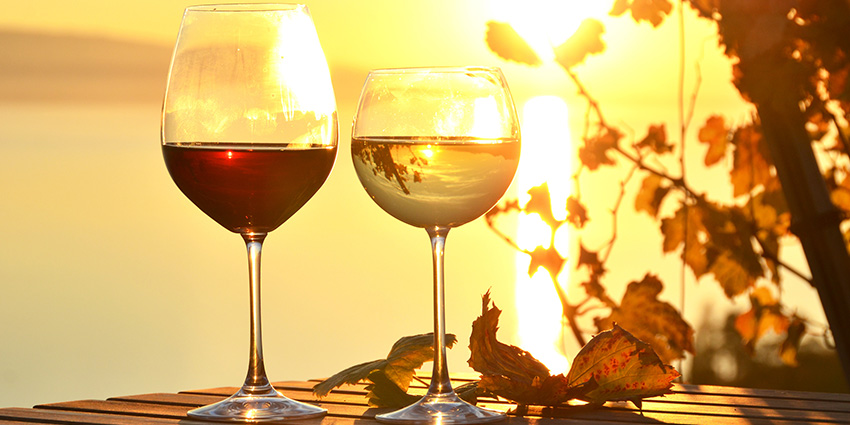 Summer and Fall Wines