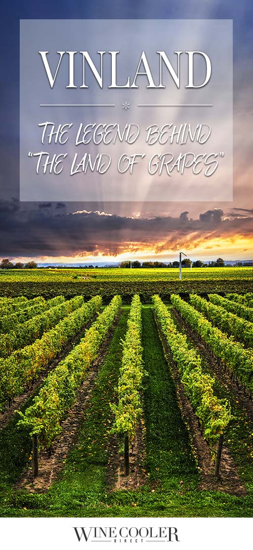 Vinland - The Legend Behind The Land of Grapes